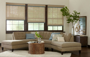 window treatments Doylestown New Hope Lambertville